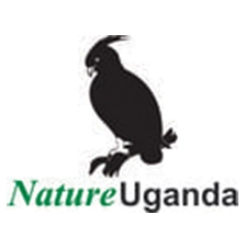 logo-3