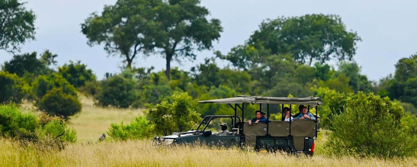 A Safari Adventure: Discover Uganda’s Lake Mburo National Park