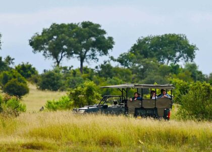 A Safari Adventure: Discover Uganda’s Lake Mburo National Park