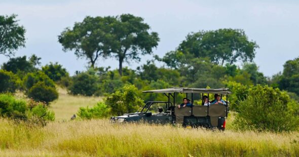 A Safari Adventure: Discover Uganda’s Lake Mburo National Park