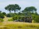 A Safari Adventure: Discover Uganda’s Lake Mburo National Park
