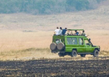 Wild Wonders of Semuliki National Park in Uganda