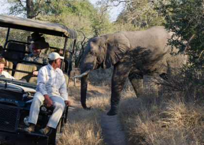 Top 10 Animals to Spot in Queen Elizabeth Park, Uganda