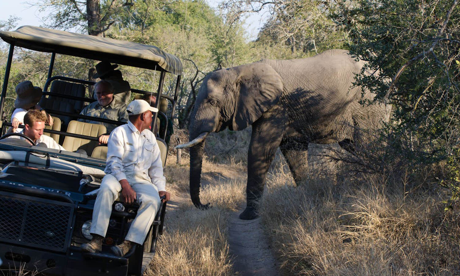 Wild Wonders to spot in Queen Elizabeth Park, Uganda!