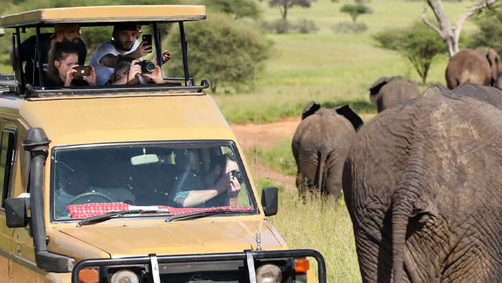 10 Days Adventure Safari in Uganda