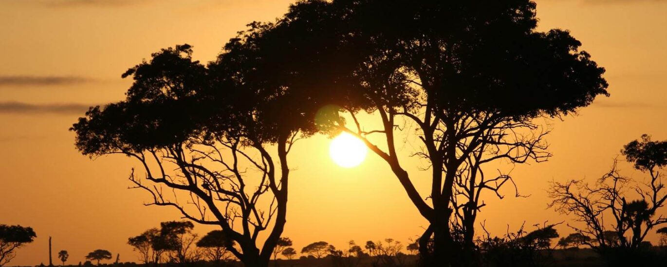 Planning Your Mount Elgon Adventure: Routes, Seasons, and Gear