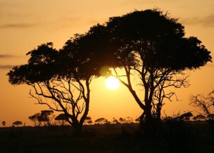 Planning Your Mount Elgon Adventure: Routes, Seasons, and Gear