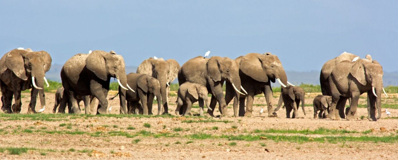Booking Policy Tanganyika Tours And Travel Ltd. Uganda
