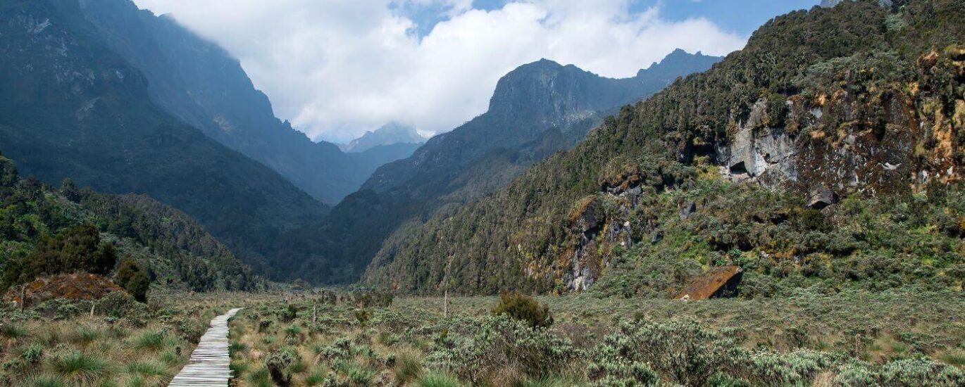What to Expect on a Rwenzori Mountains Climbing & Hiking Expedition