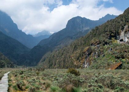 What to Expect on a Rwenzori Mountains Climbing & Hiking Expedition